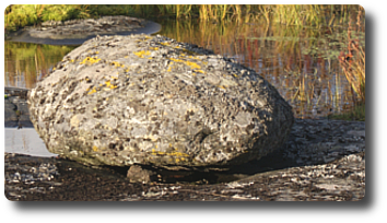 VoimaVirtaaTyöhön